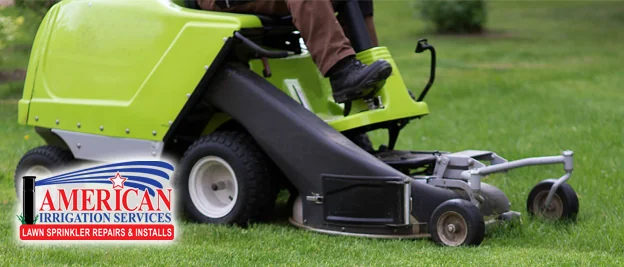 What Grass Grows Best in Florida?