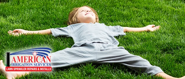 Four Signs Your Lawn is Overwatered