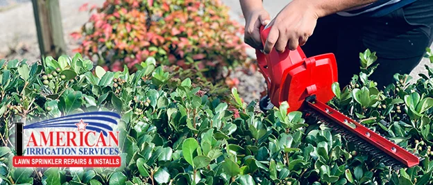 Spring Trimming in Florida