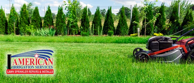 Should I Aerate My Lawn?