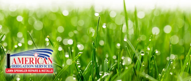 How to Protect Your Lawn from Heat