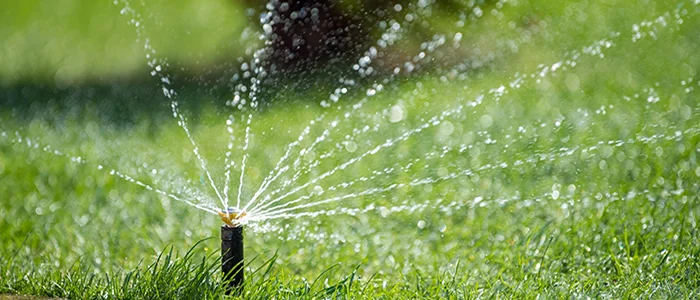 Pop-up sprinkler spraying water on a lawn