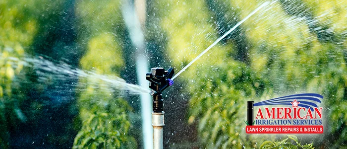 Spring Cleaning Your Irrigation System