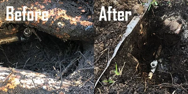 lawn irrigation