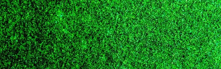 lawn blog