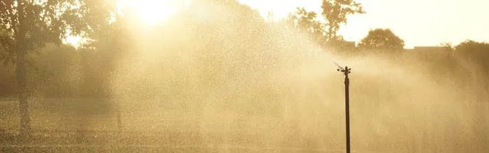 irrigation