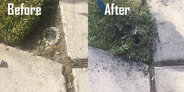 Before and after photos of a sprinkler head repaired at a driveway edge