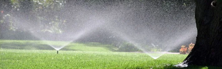 The Go-To Guide to Common Sprinkler Repair Issues