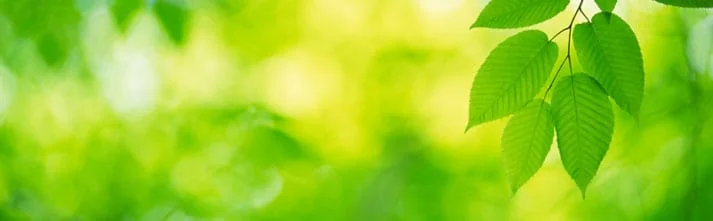 Could Sprinkler Repair Be in Your Future?