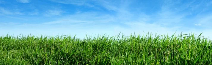 Sprinkler Repair: Hire the right man or woman the first time out