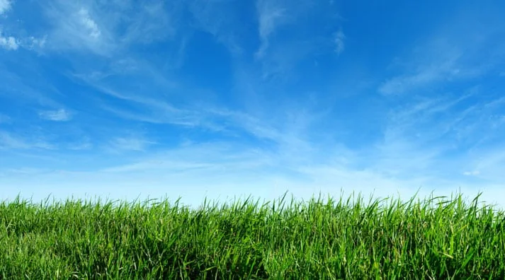 Sprinkler Repair: Hire the right man or woman the first time out
