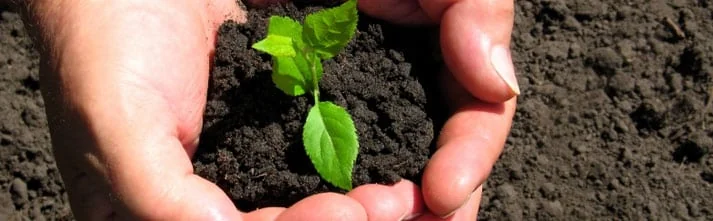 Tampa Irrigation: Installation, Maintenance and Repair