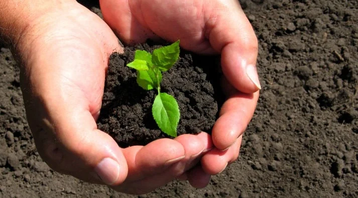 Tampa Irrigation: Installation, Maintenance and Repair