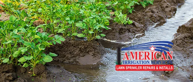 Water flowing through a drainage channel between plants with the American Irrigation Services logo