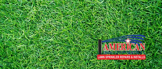 Close-up of green grass with the American Irrigation Services logo