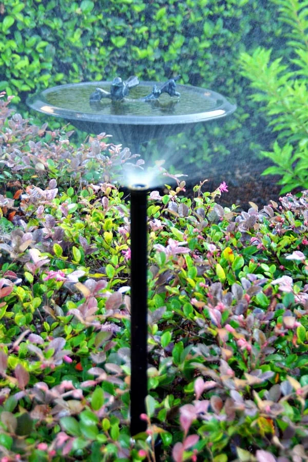 Beautiful Sprinklers