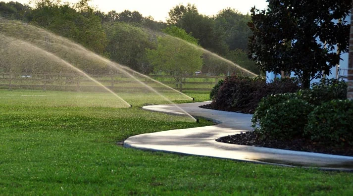 Tampa Area Sprinklers