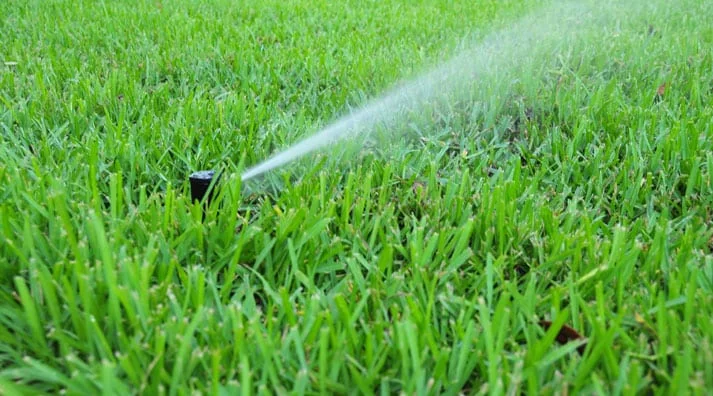 Lawn Irrigation