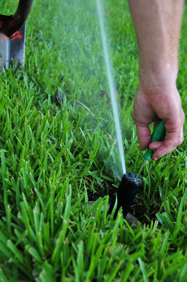 Tampa, Brandon, Wesley Chapel, Plant City Sprinkler Maintenance