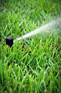 Tampa, Brandon, Wesley Chapel, Plant City Sprinkler Repair